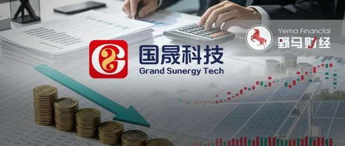 2天蒸发40亿，国晟科技妖股神话破灭 锂电故事不再讲得通